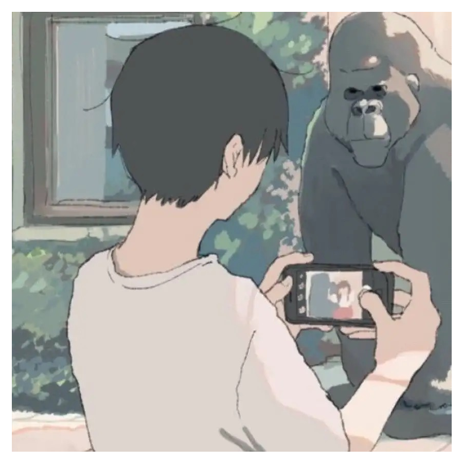 纵桑高冷浩