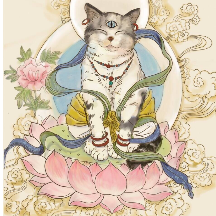 秦阿黑