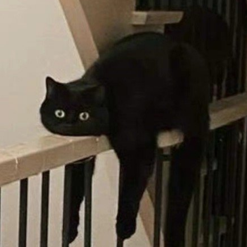 提拉米苏粉与白巧克力