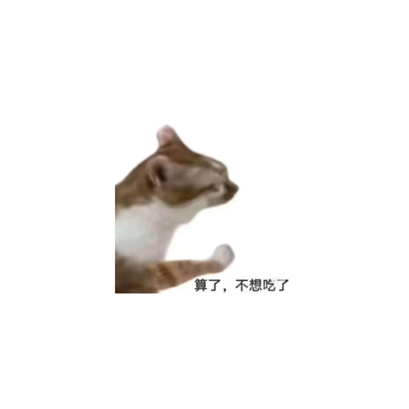 浦西发大水