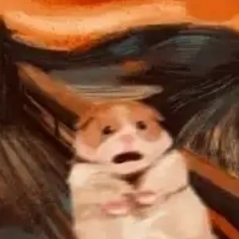 banhdd