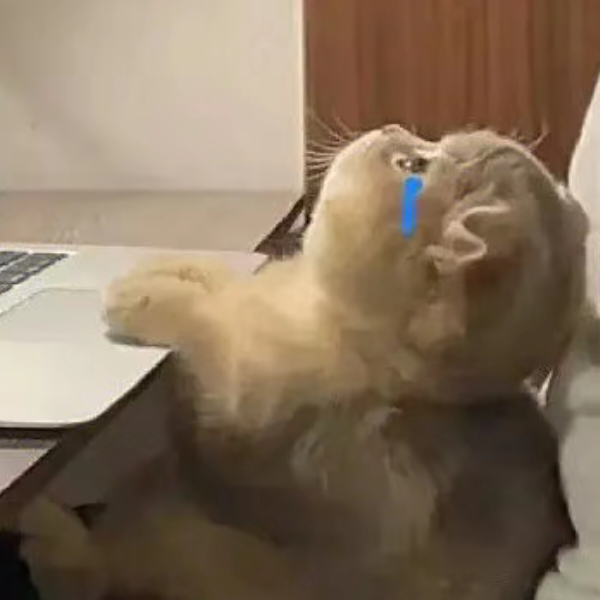 ༽璟姐༼