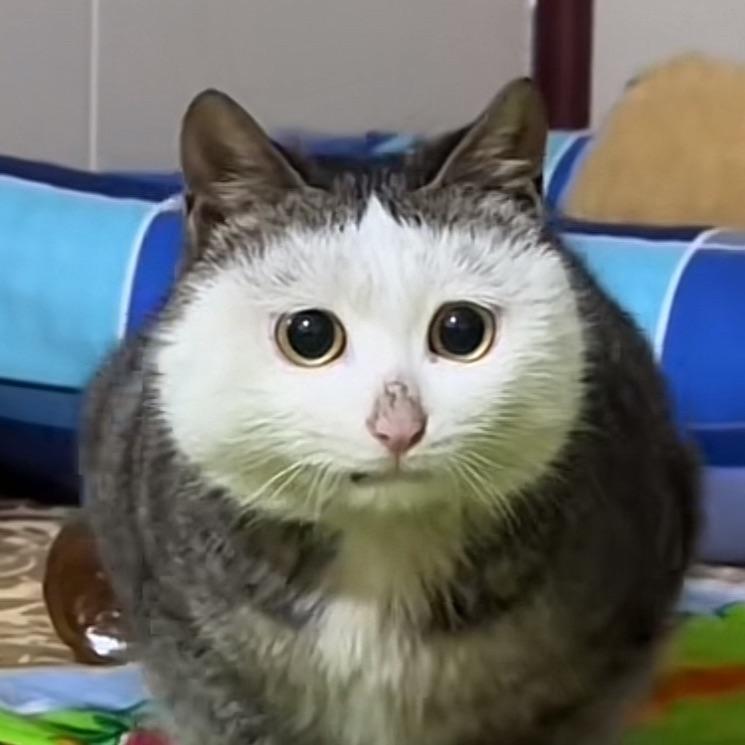 克莱因蓝