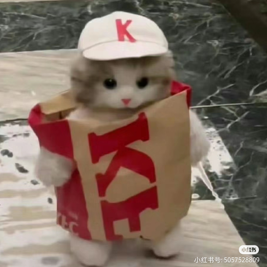 染崽