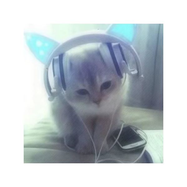 没实力A