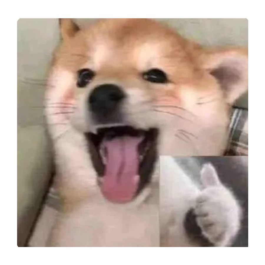睫毛弯弯yaya