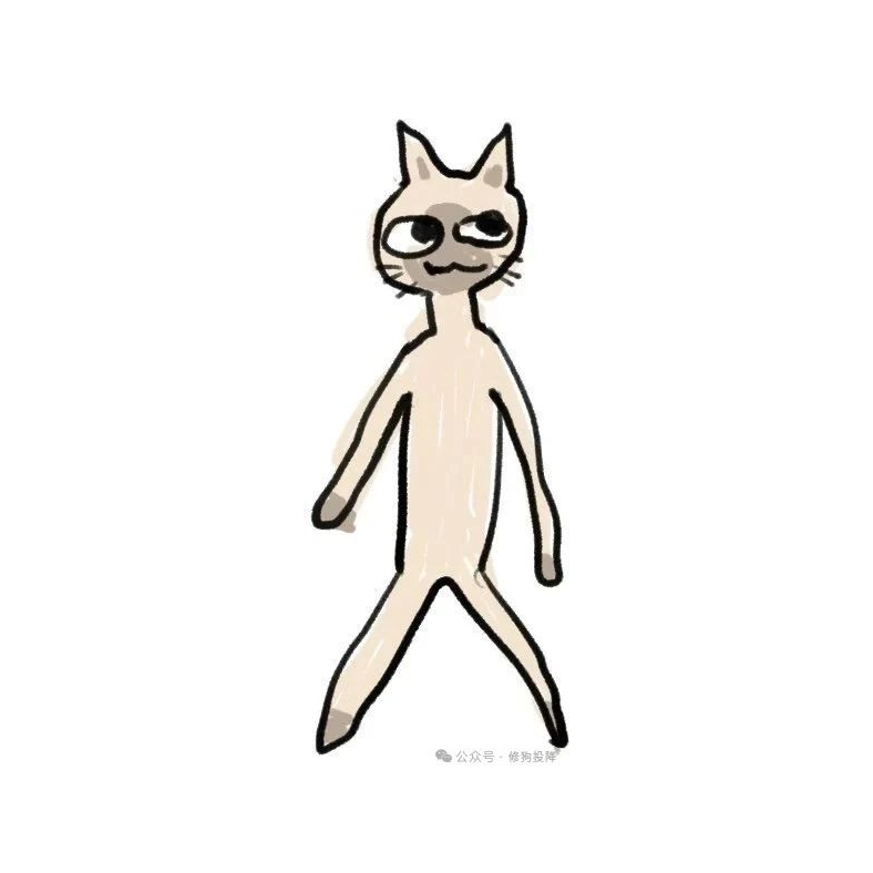 User60213594