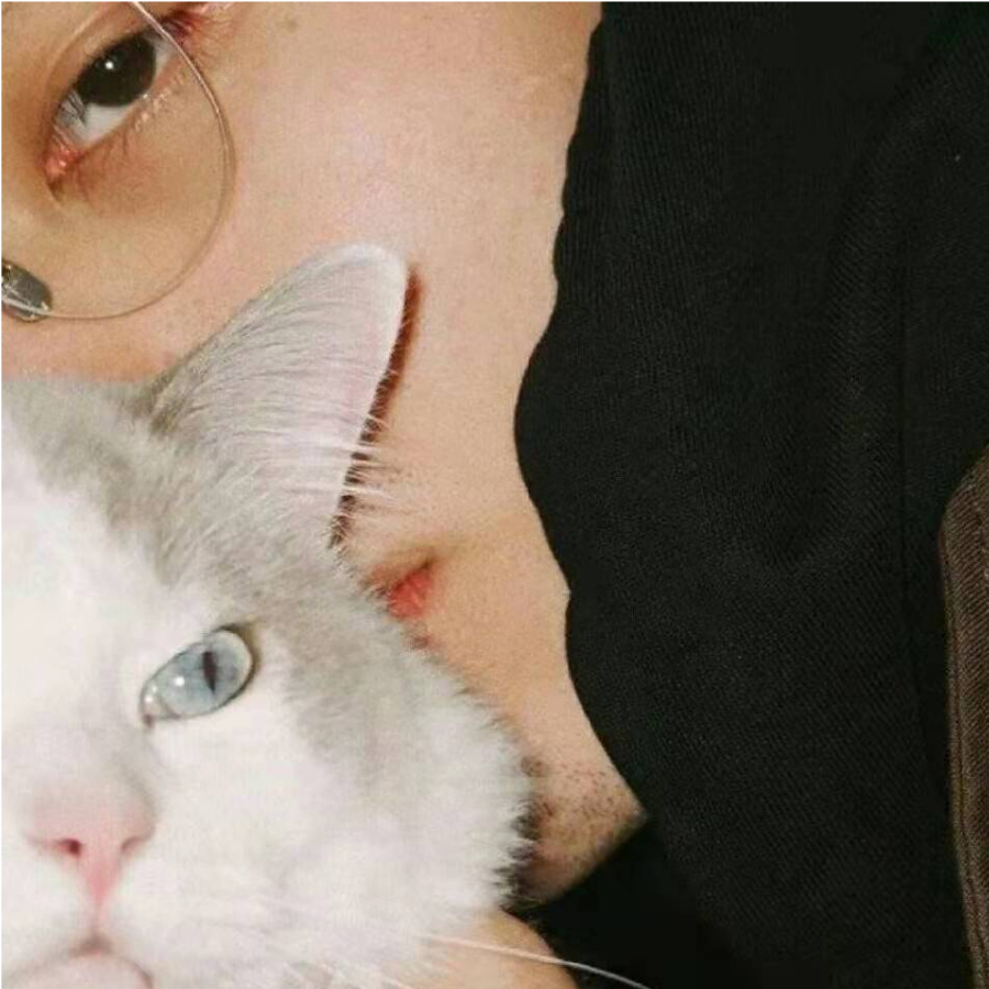 回家了仙贝