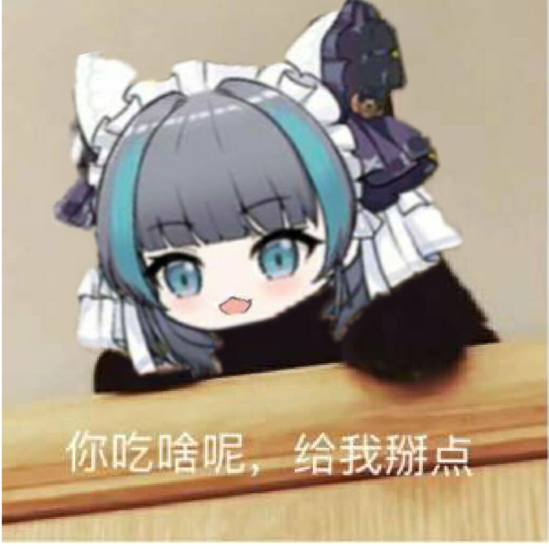 花火猫猫