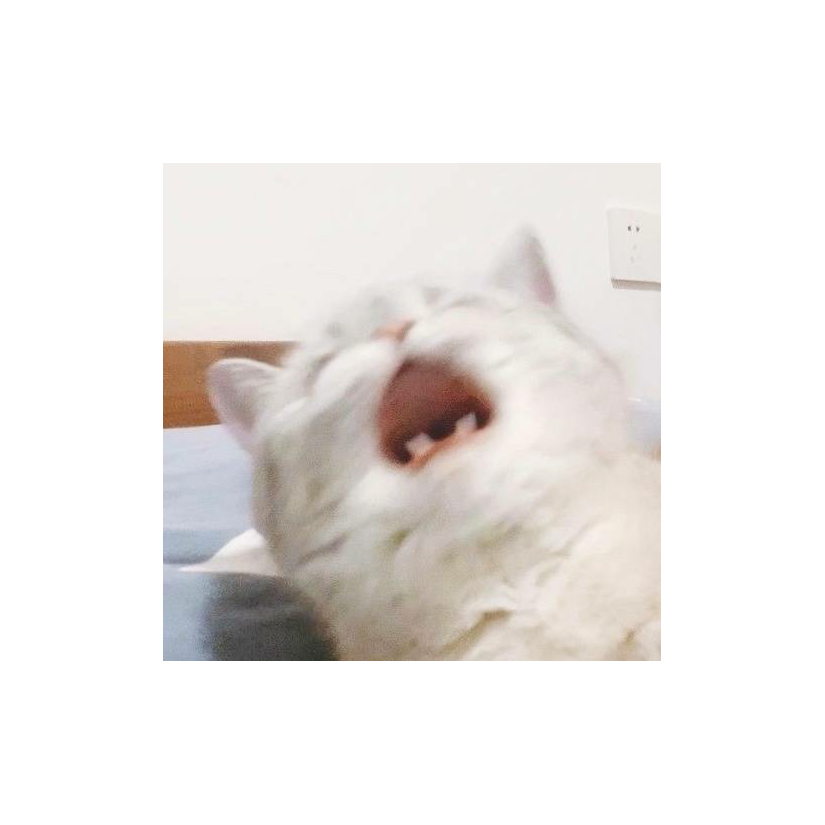 阿灰超勇的