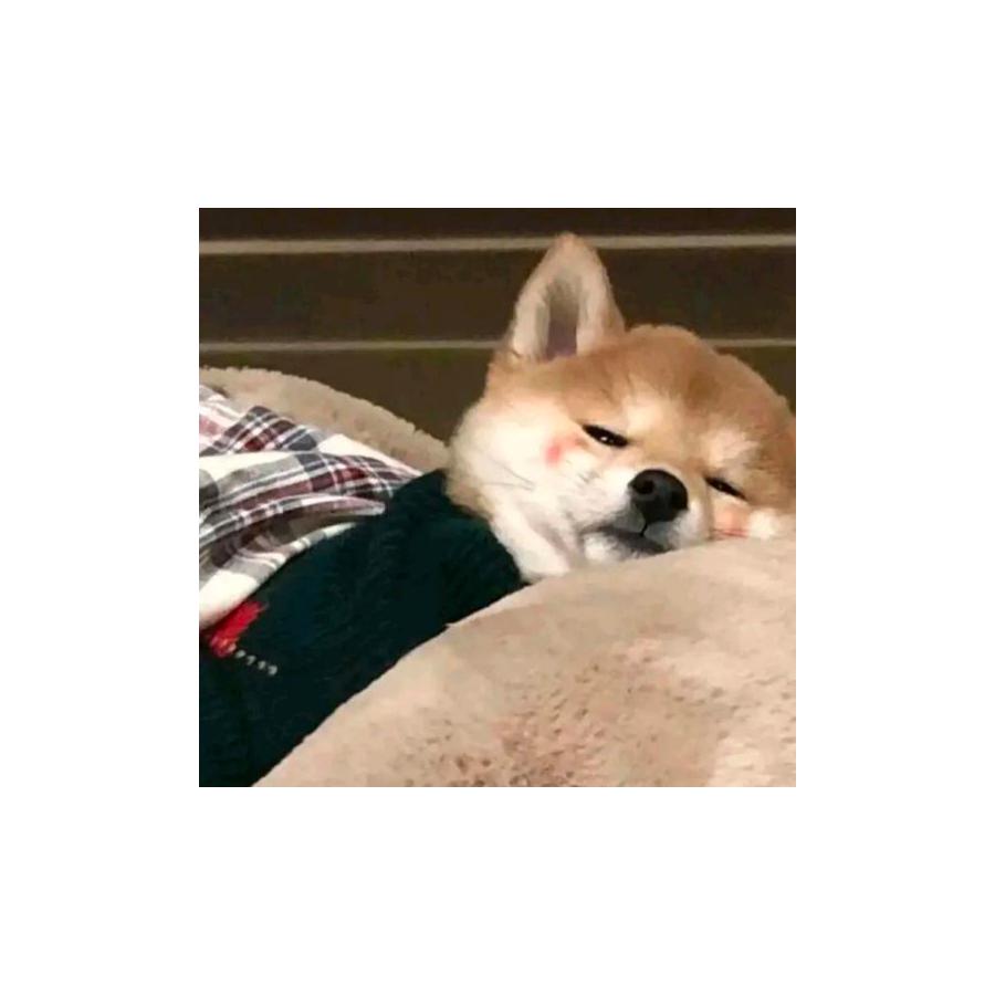 羽萱