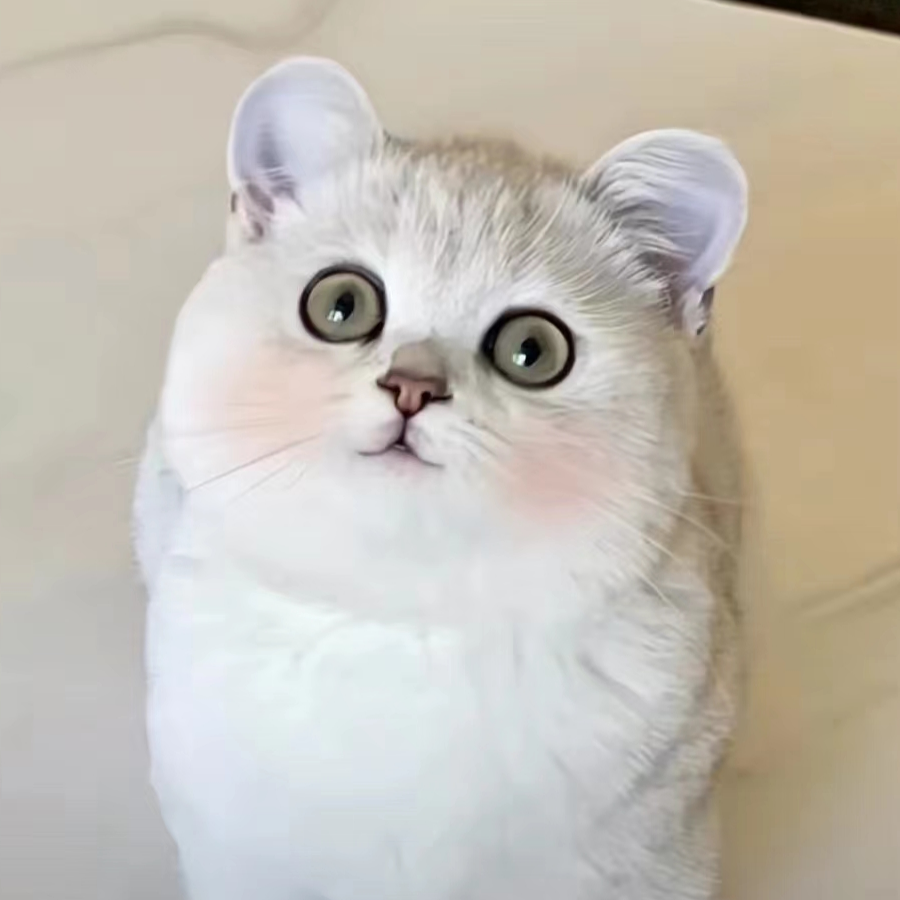 檬檬