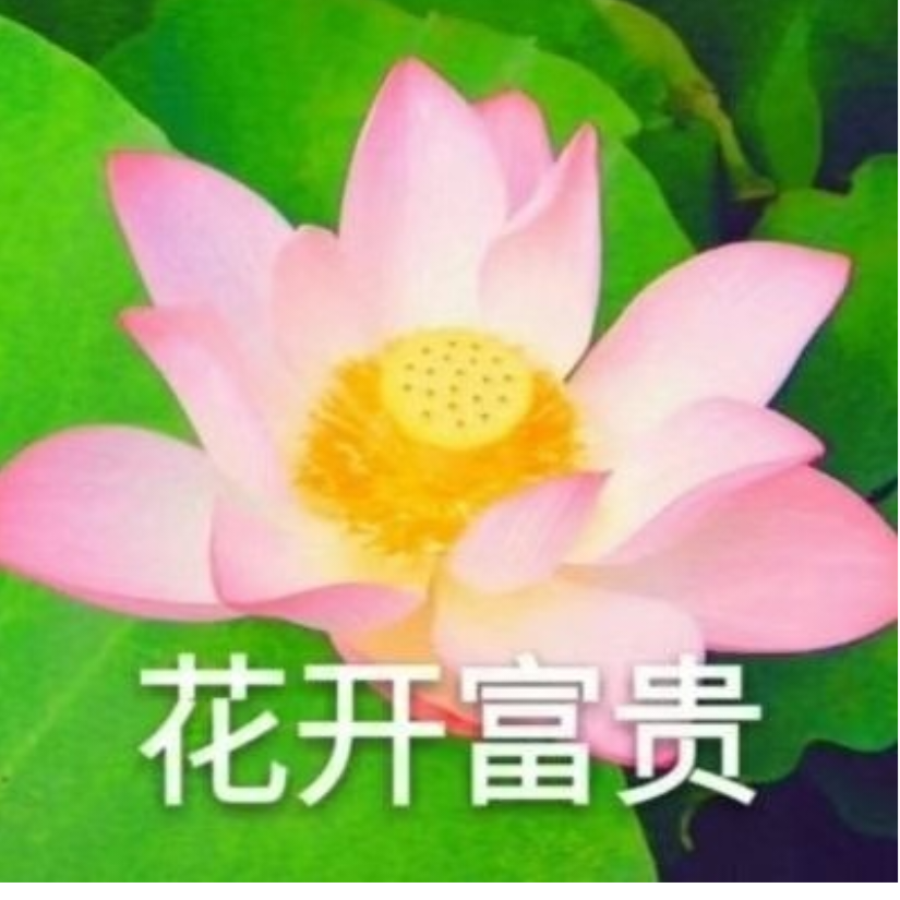 花开富贵