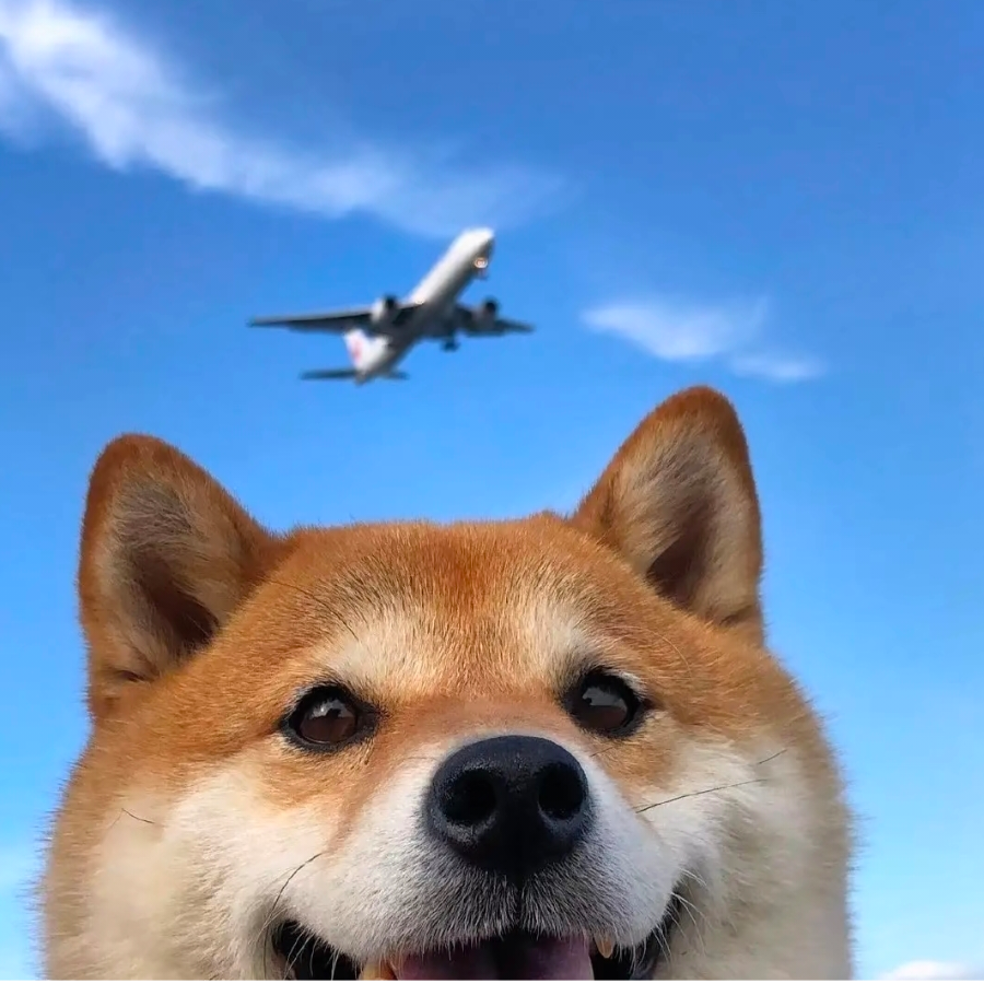 烟花