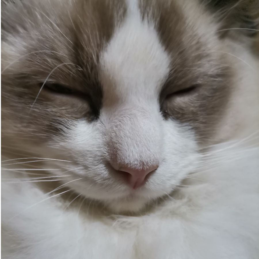 未