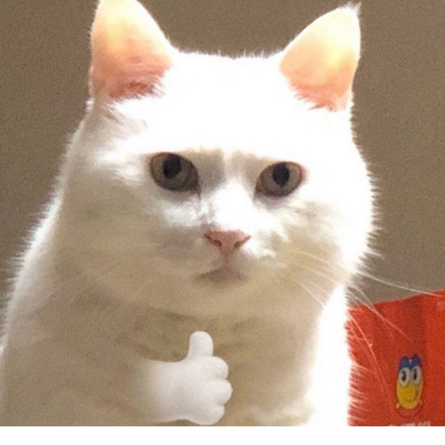 奈斯