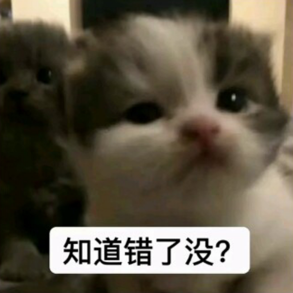极品美少女战士