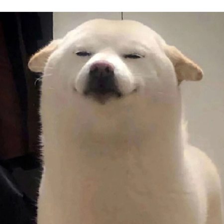 山猿