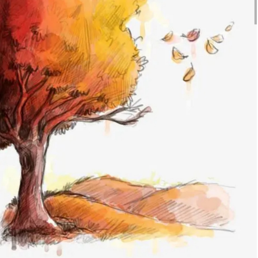 🍂🍂🍂🍂🍂