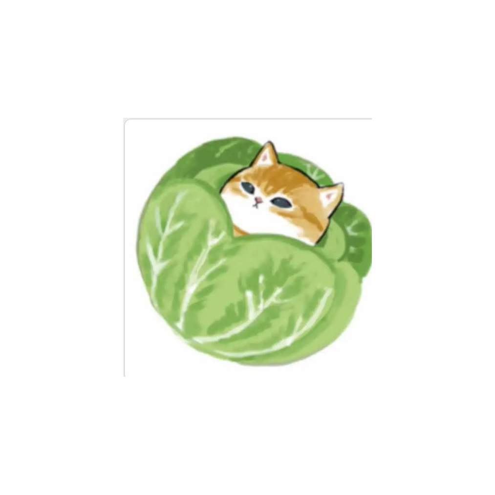 菜猫✨为你而来