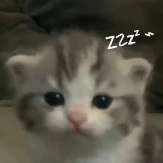 知我相思意