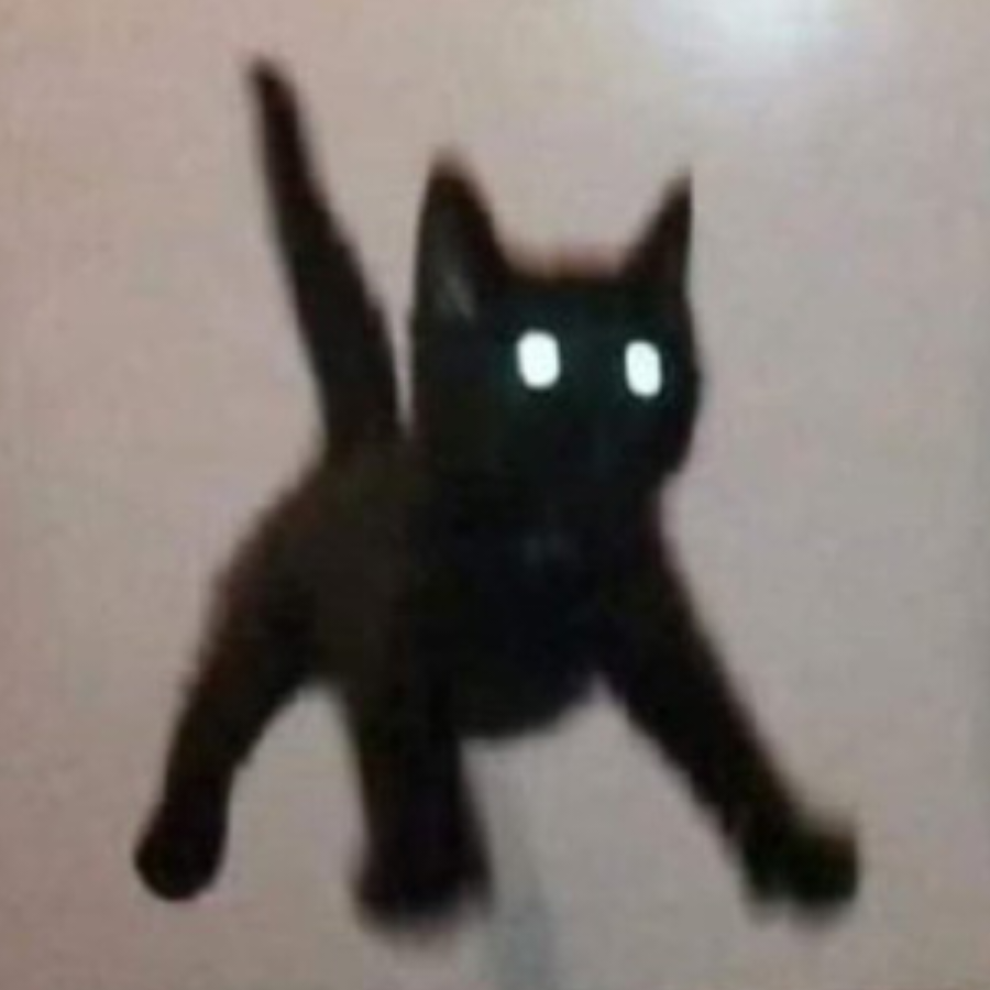 猫猫先生