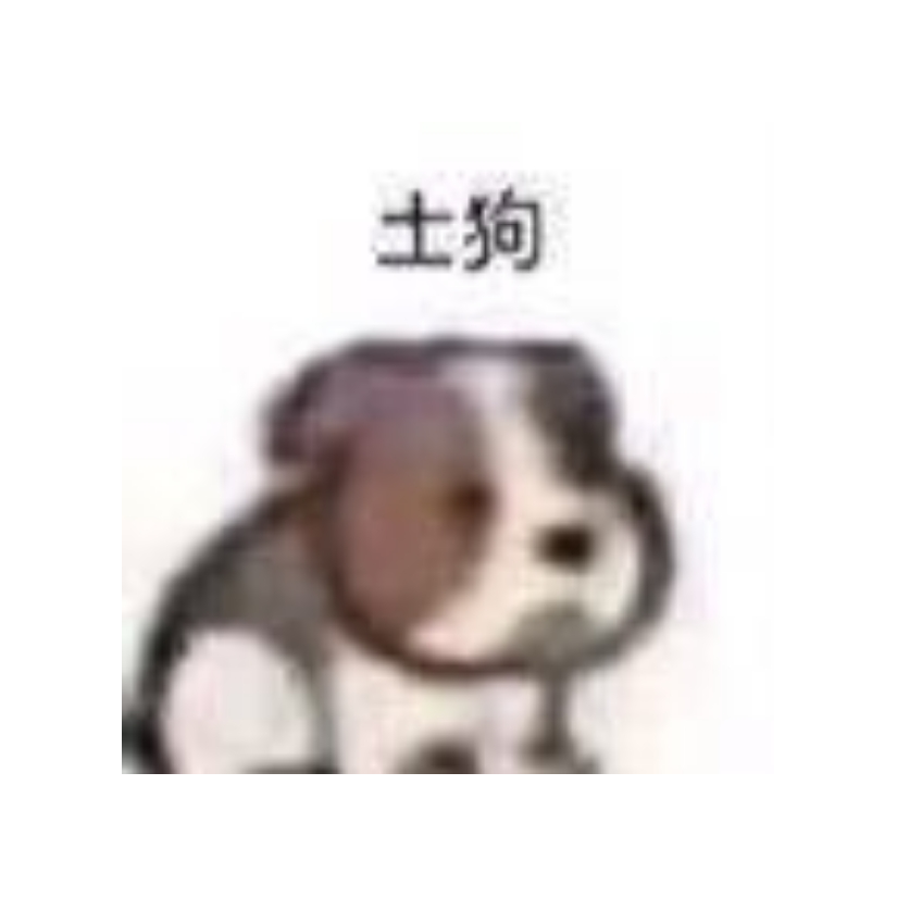 情酒