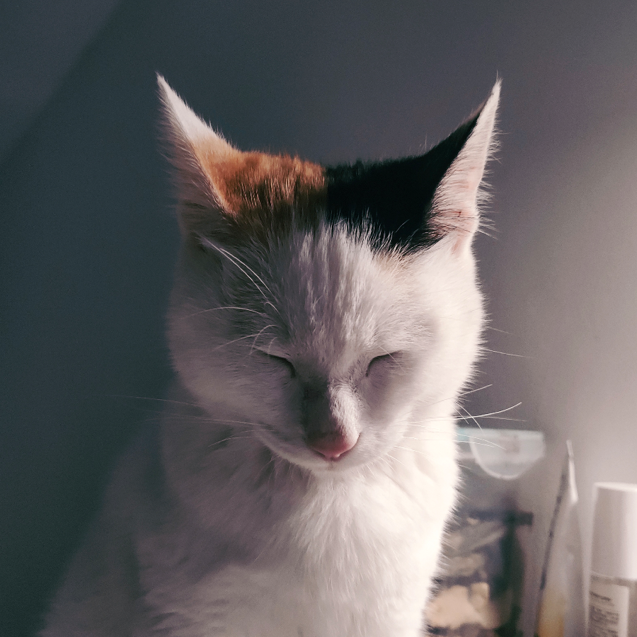 陈闹闹