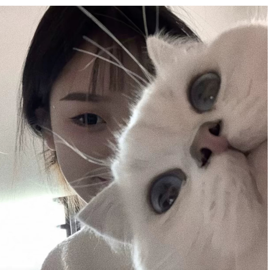 .小乖.