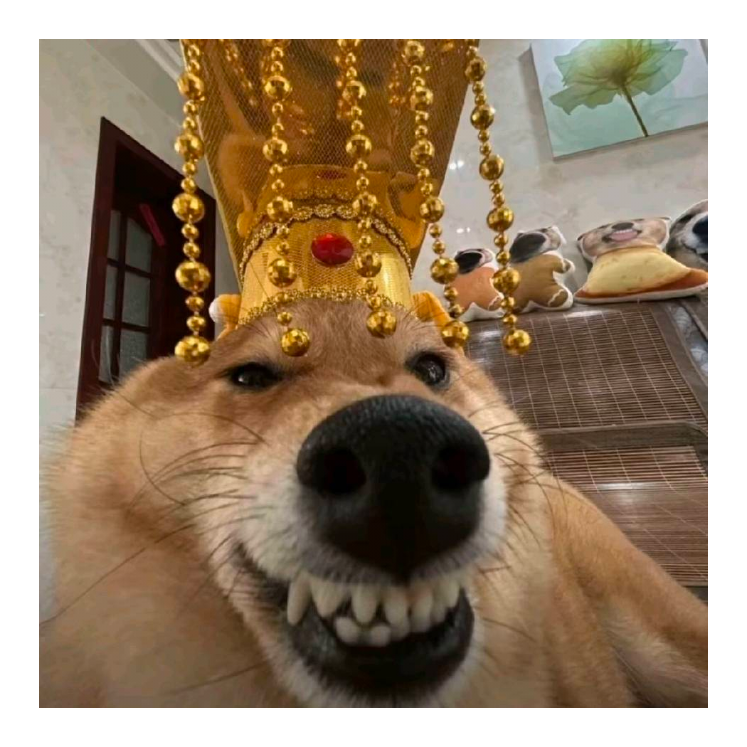 青y木