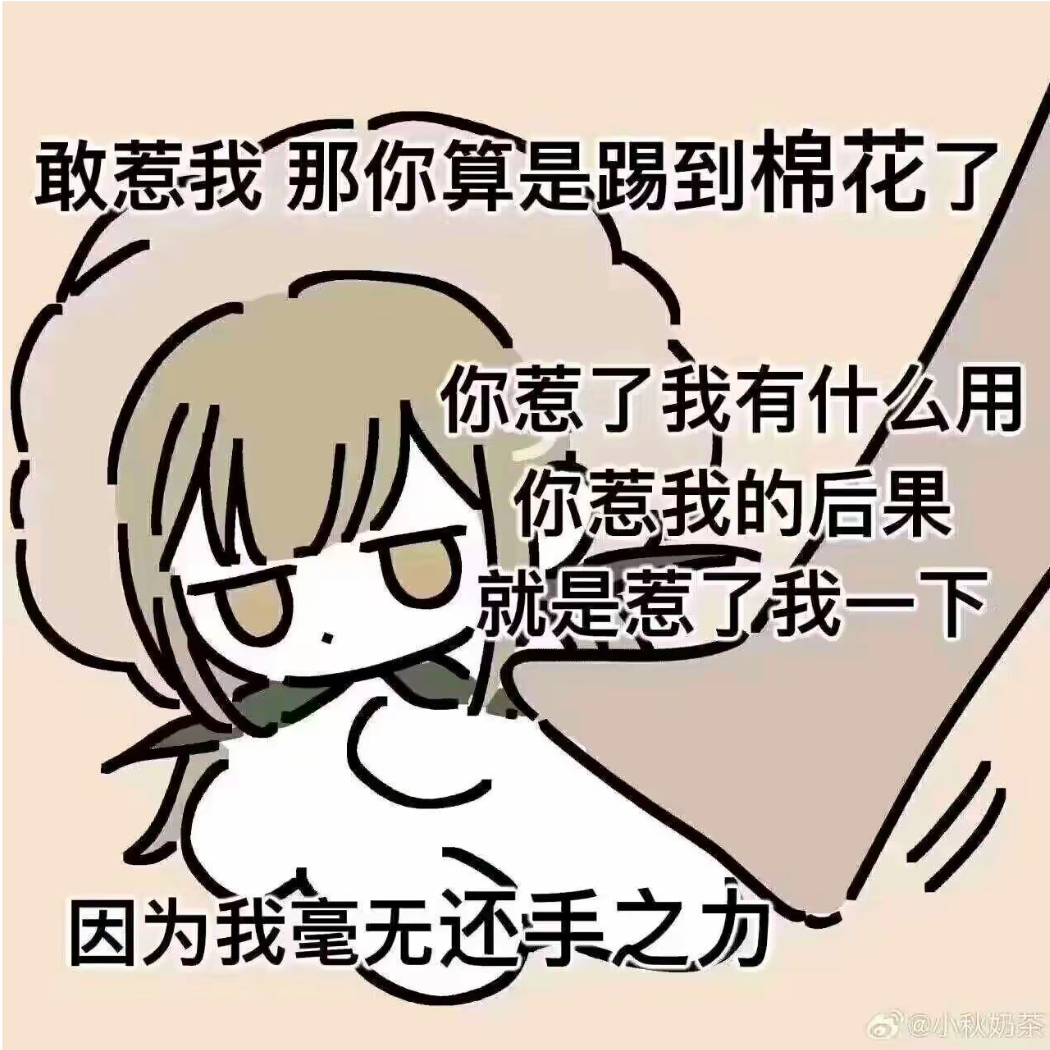 彩绘瑶瑶猫
