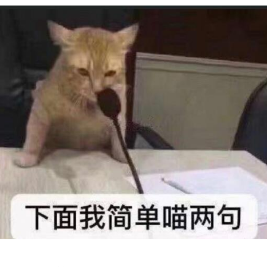 一只脸猫
