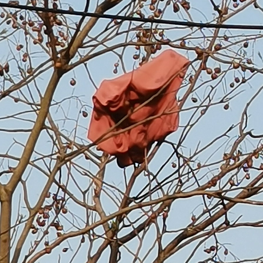 玩个鬼狂战，🔥德走起