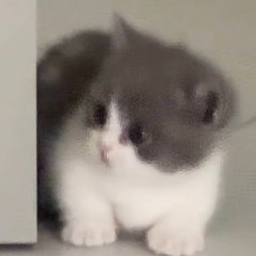 災泓