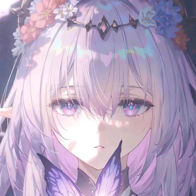 遐蝶🦋