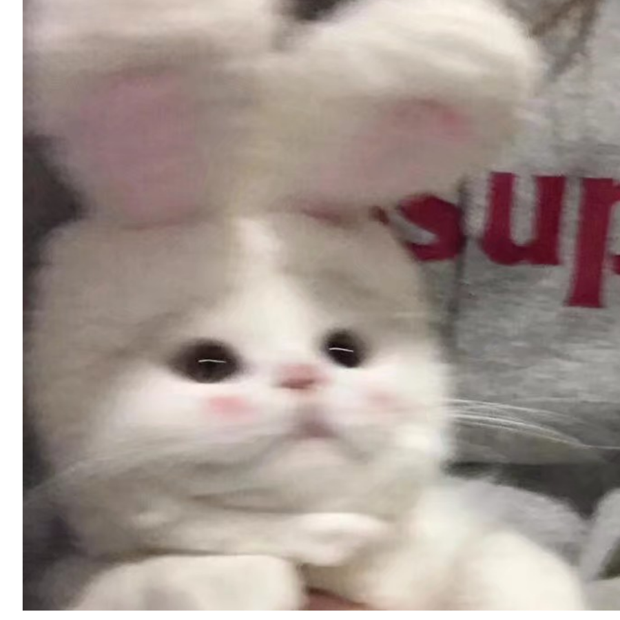 棱陌陌