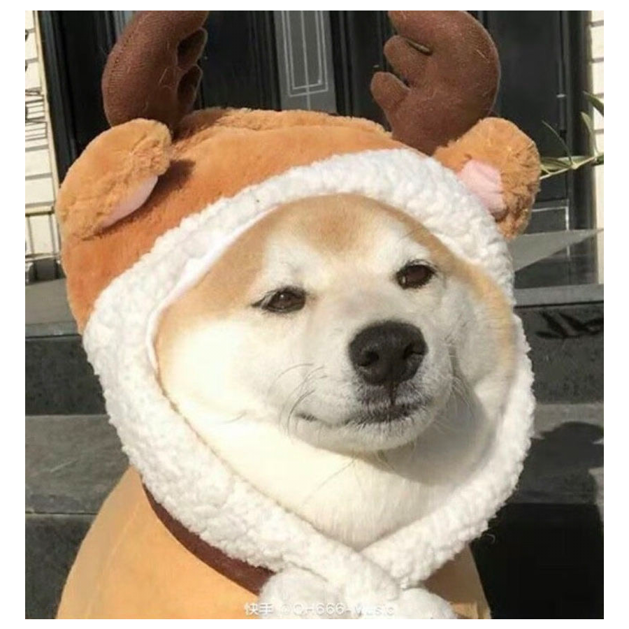 修🐶