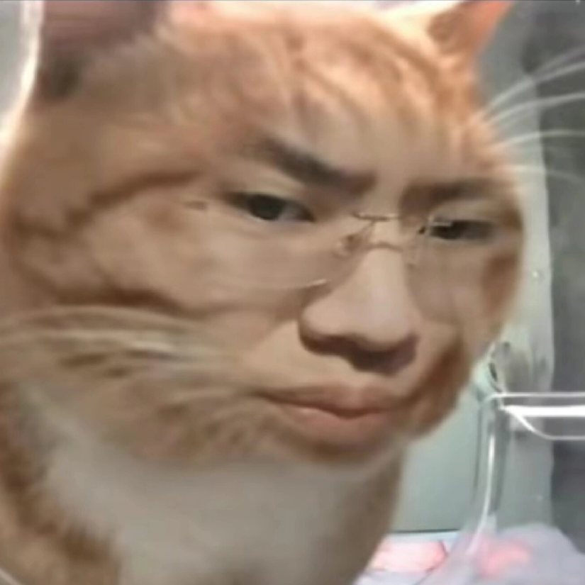 颜2004