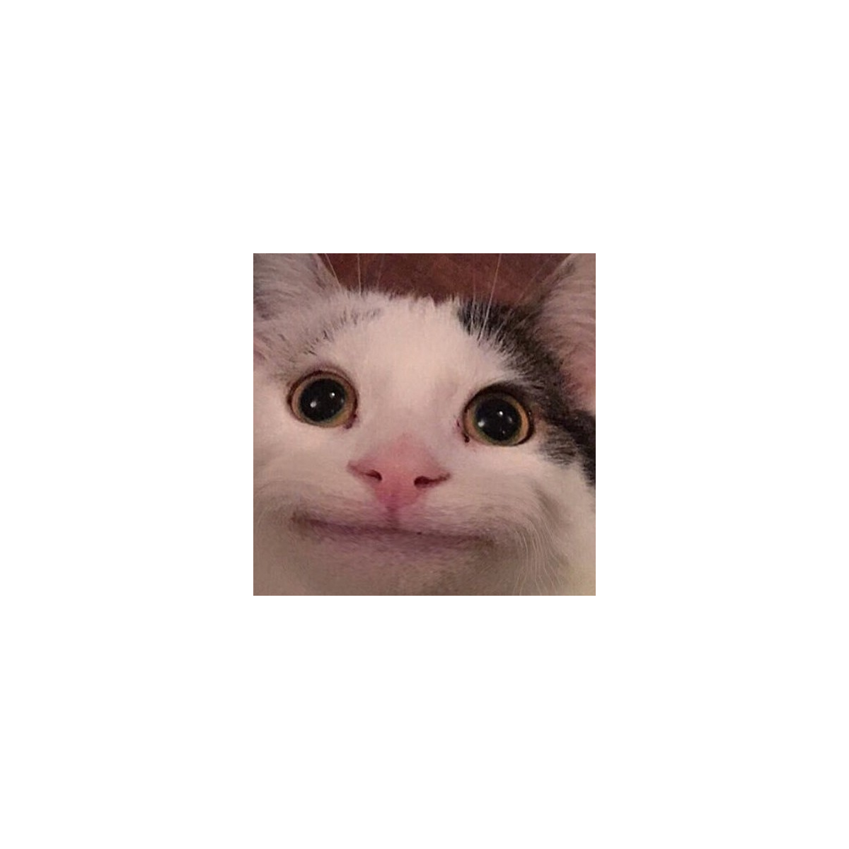 不甘懦弱的村长