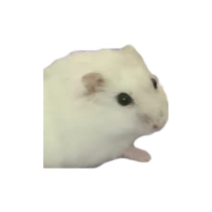 彪