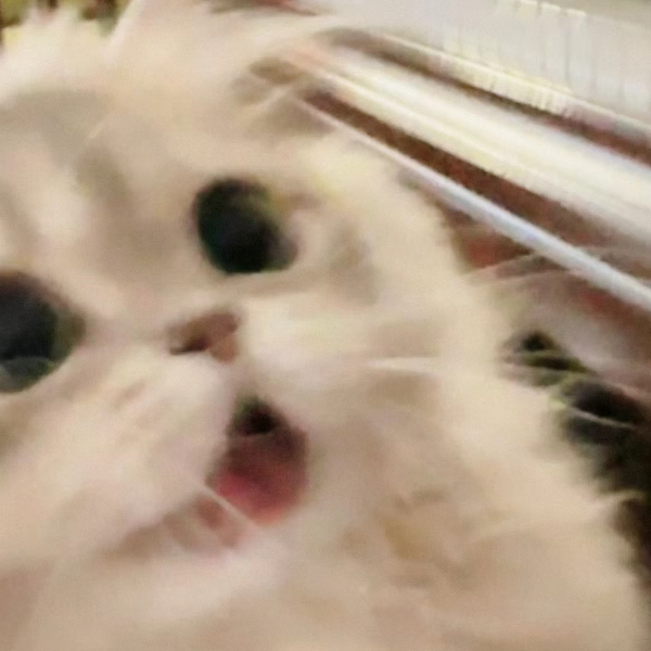 哈哈