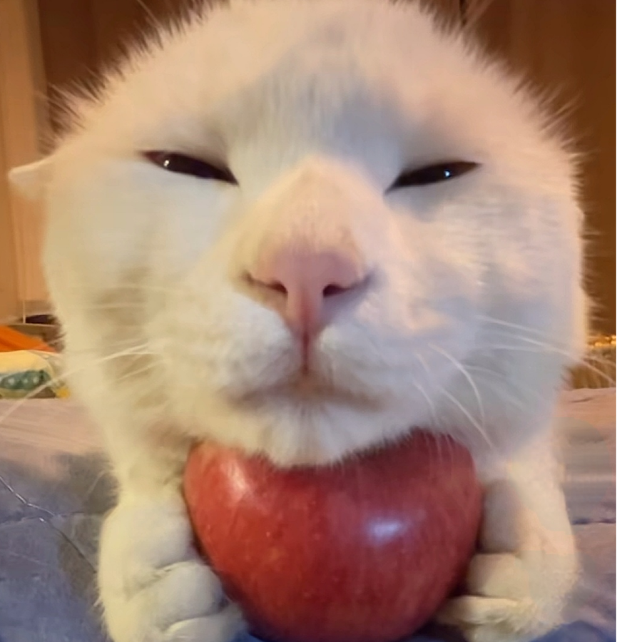 小血