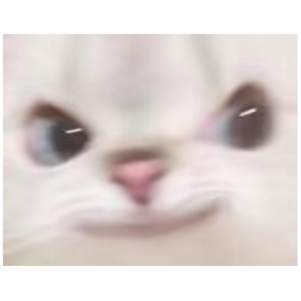 苏苏苏哇