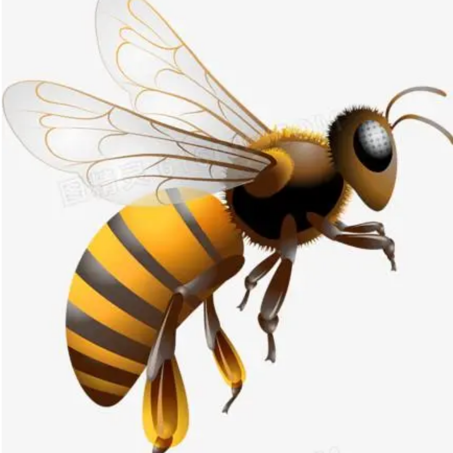 闪电蜜蜂🐝