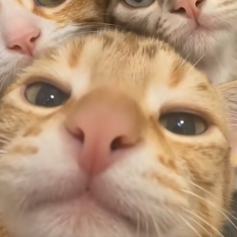 泉仔