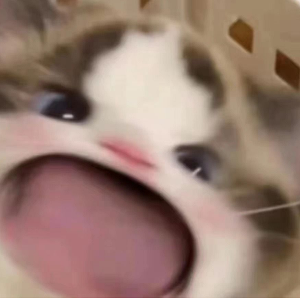 。。。