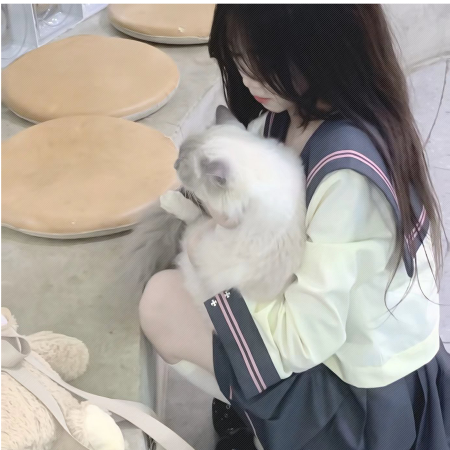 暮秋✨