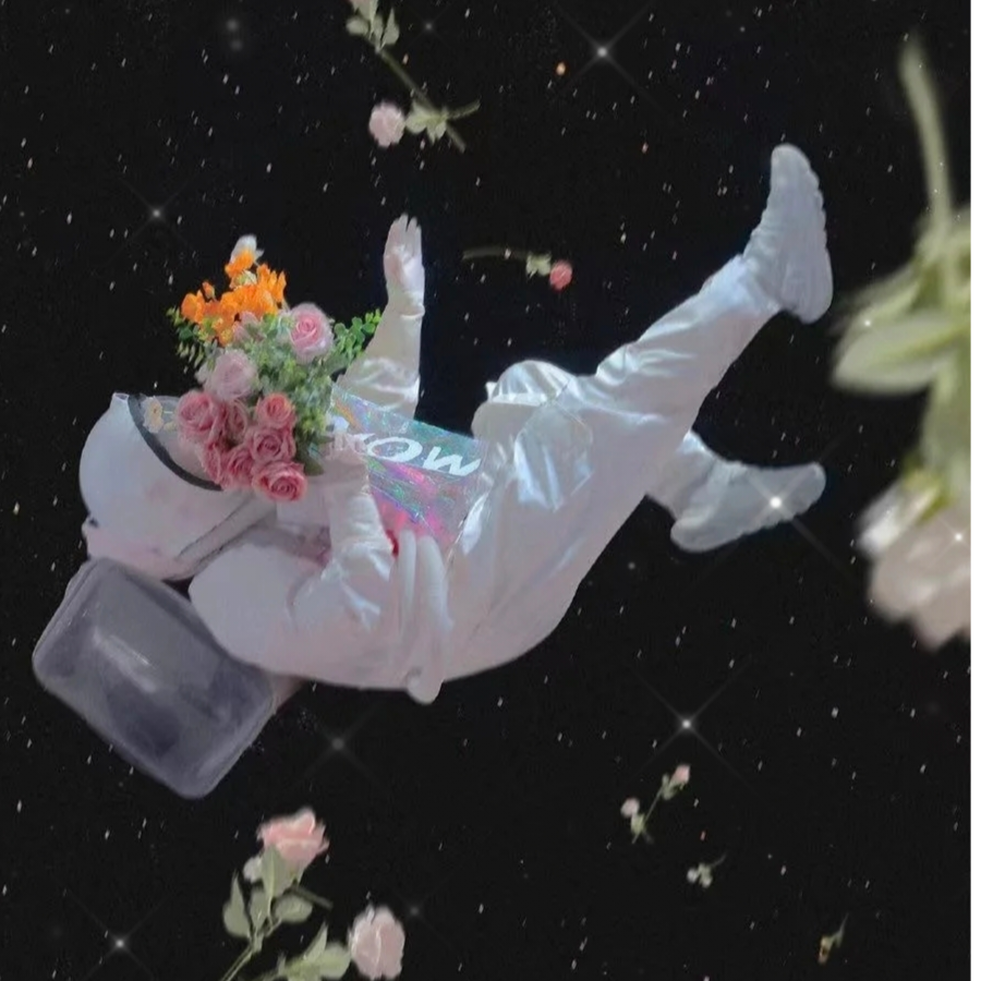 临沫阳光