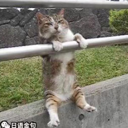 無名遊戲