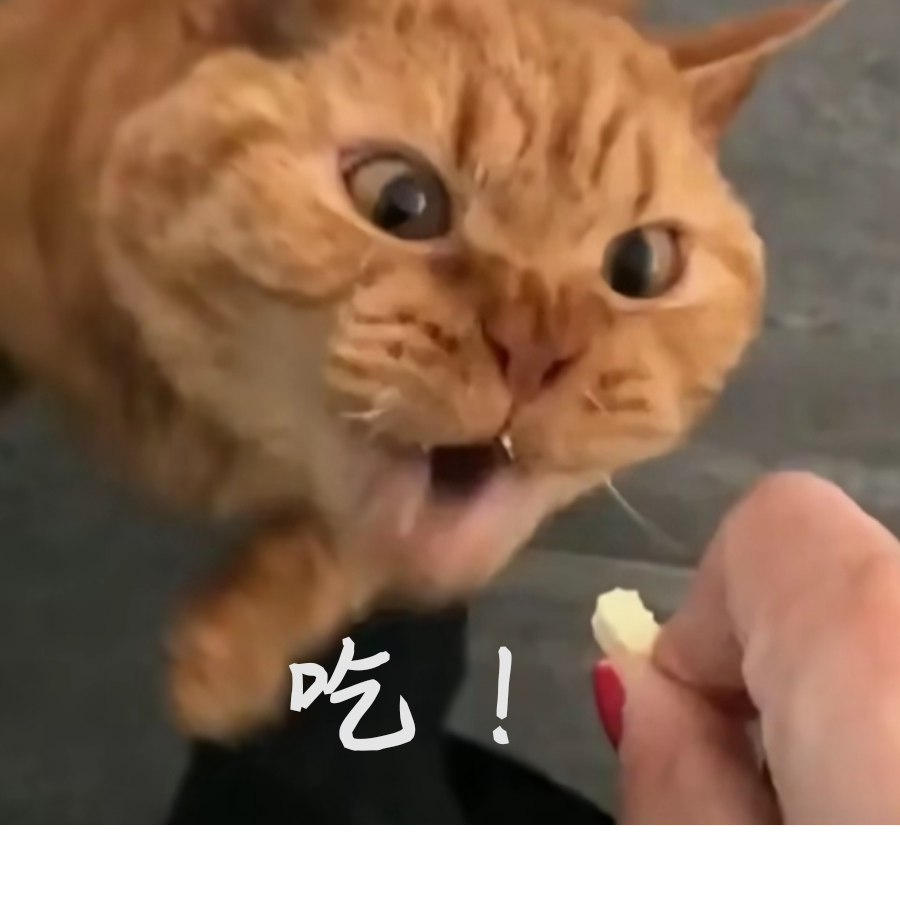 LWWL